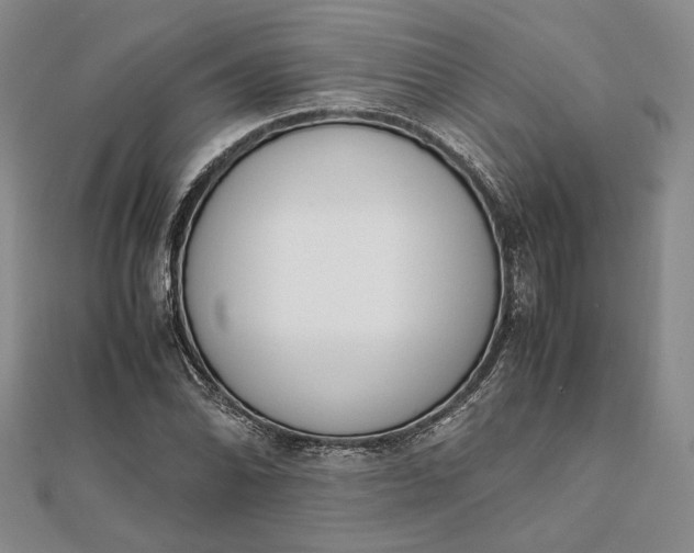 X0000111781070200908061110
