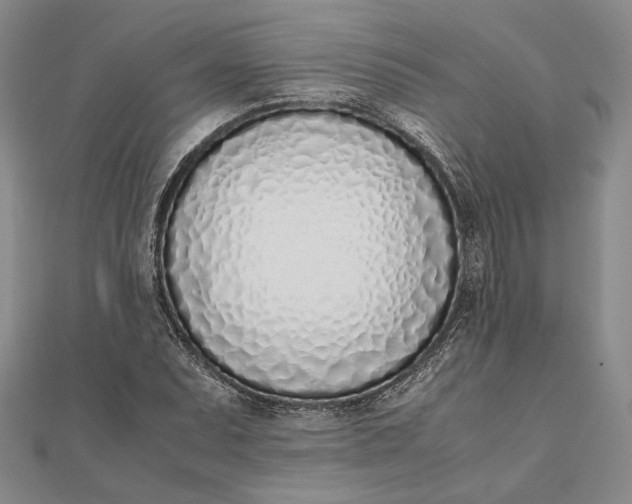 X0000111781071200908061110