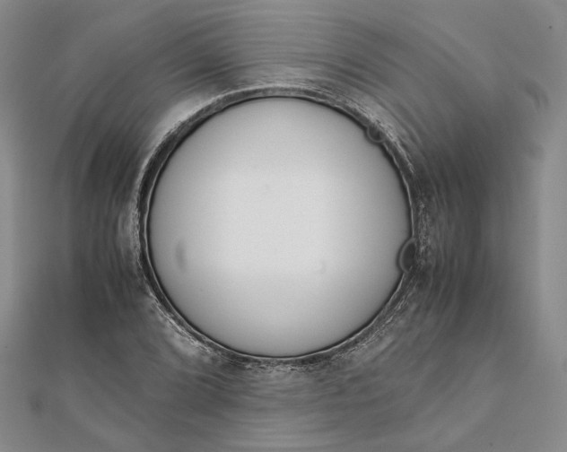 X0000111781072200908061110