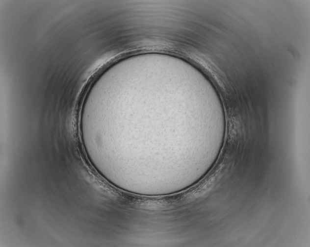X0000111781074200908061110