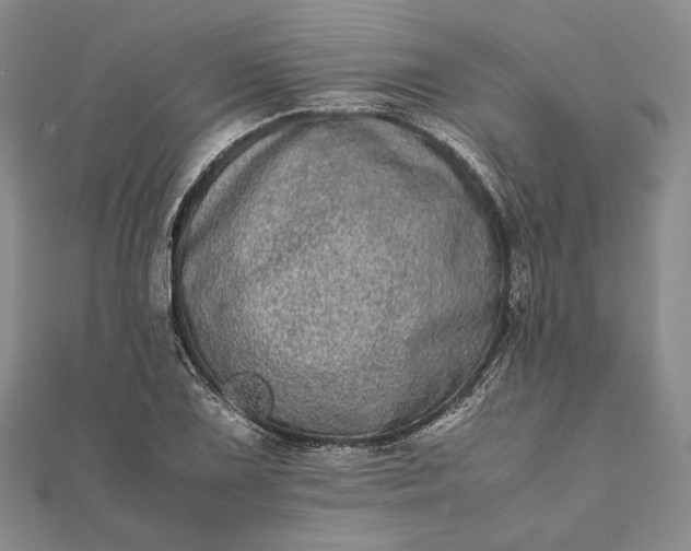 X0000111781075200908061110
