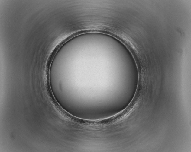 X0000111781077200908061110