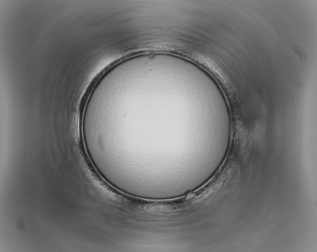 X0000111781079200908061110