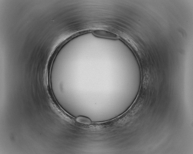 X0000111781080200908061110