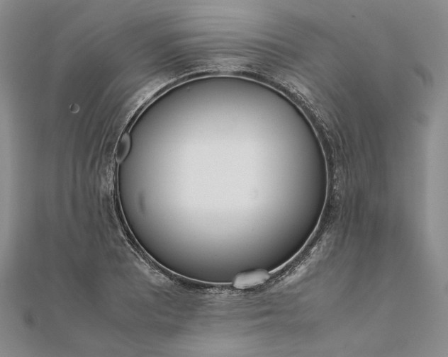 X0000111781081200908061110