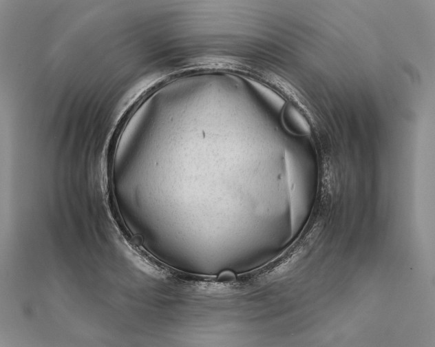 X0000111781082200908061110