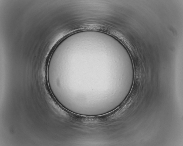X0000111781083200908061110