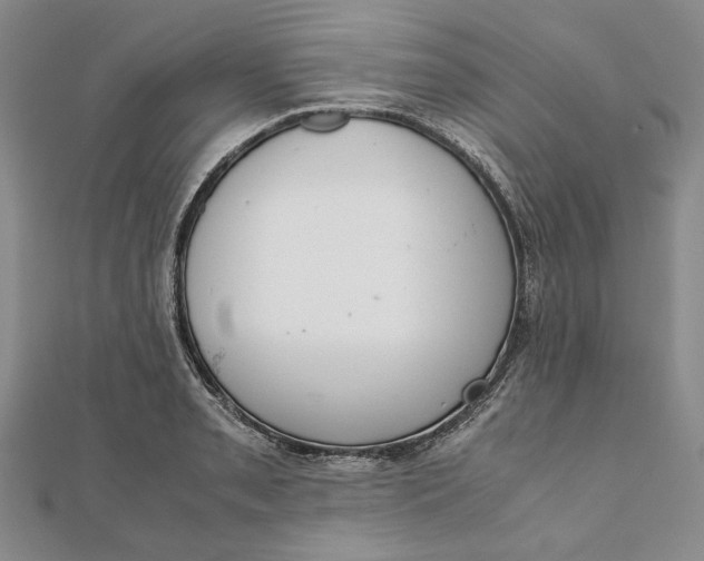 X0000111781085200908061110