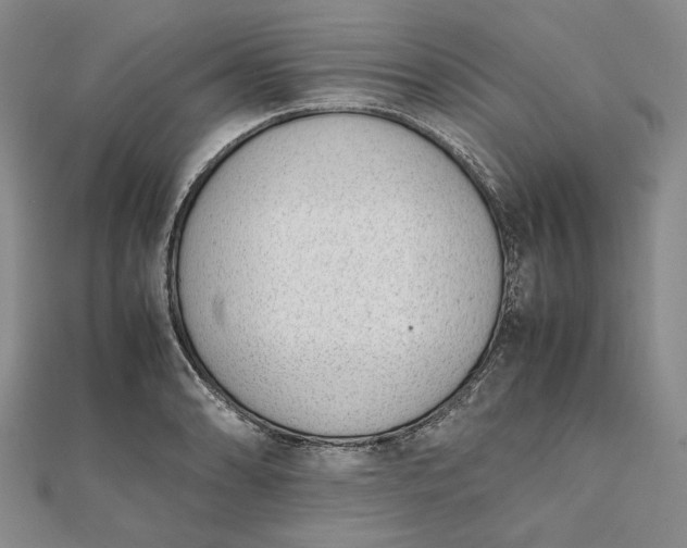 X0000111781086200908061110