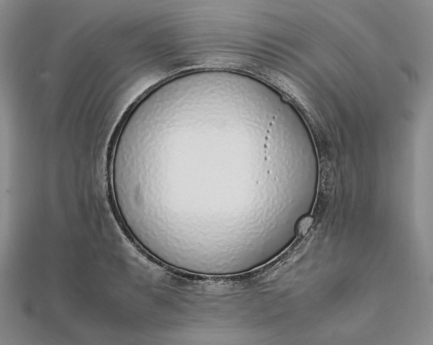 X0000111781087200908061109