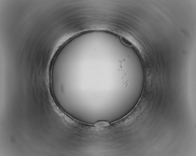 X0000111781088200908061109