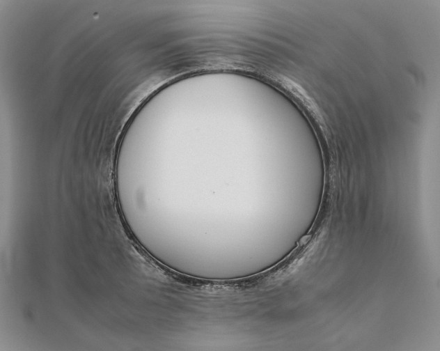 X0000111781089200908061109
