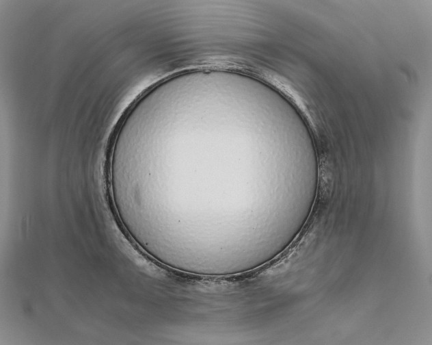 X0000111781091200908061109
