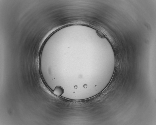 X0000111781092200908061109