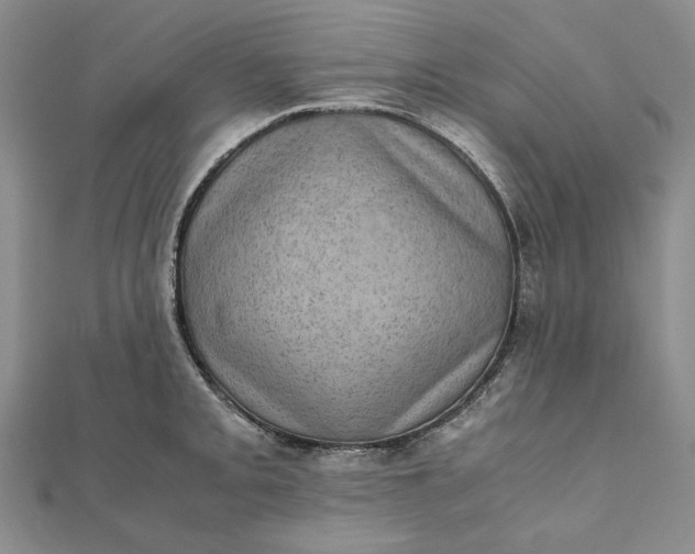X0000111781093200908061109