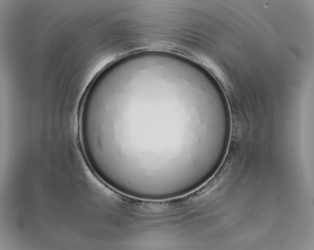 X0000111781095200908061109