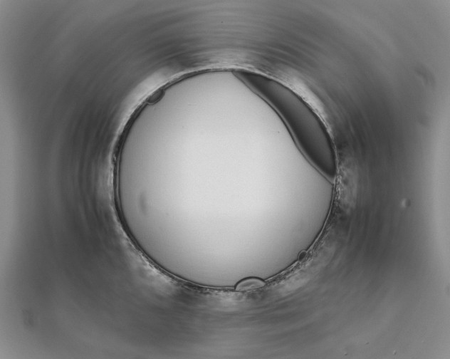 X0000111781096200908061109