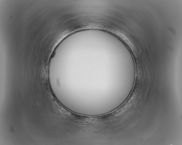 X0000111781097200908061109