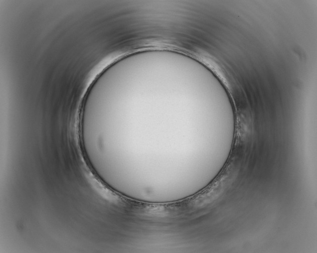 X0000111781098200908061109