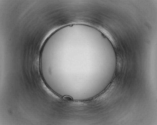 X0000111781100200908061109