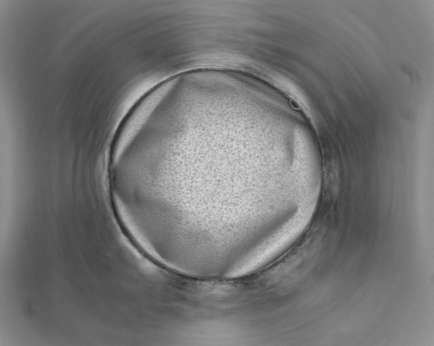 X0000111781103200908061109