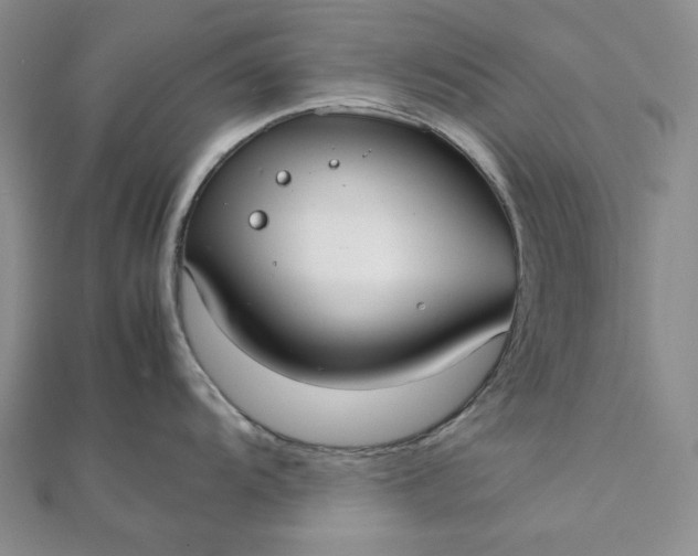 X0000111781104200908061109