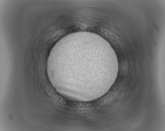 X0000111781105200908061109