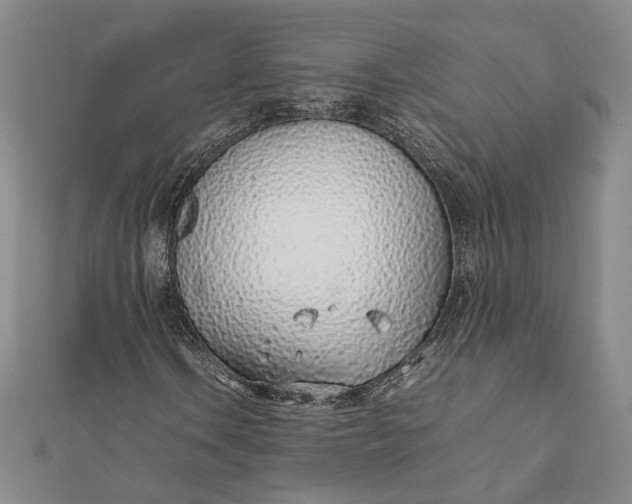 X0000111781106200908061109