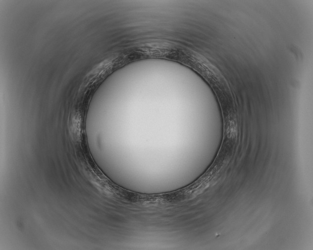 X0000111781108200908061109