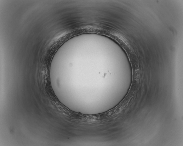 X0000111781111200908061109