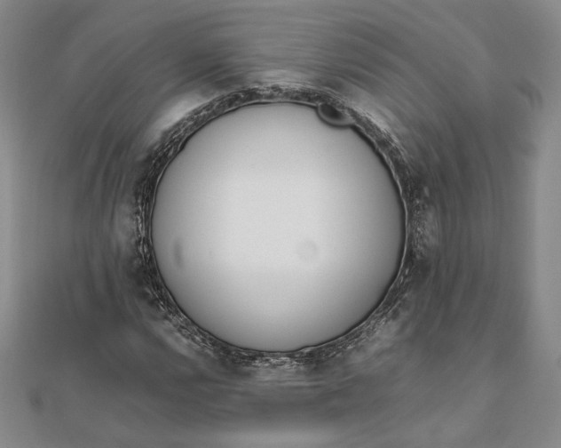 X0000111781112200908061109