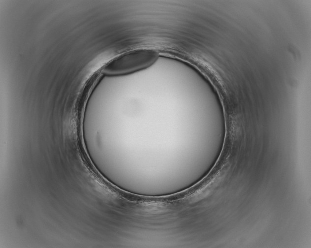 X0000111781114200908061109