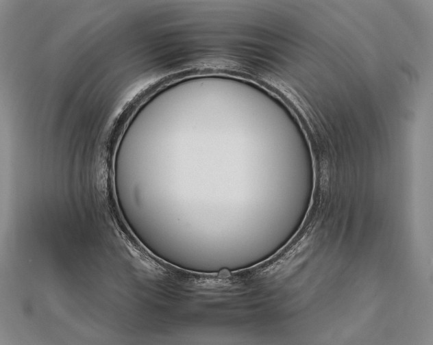X0000111781115200908061109