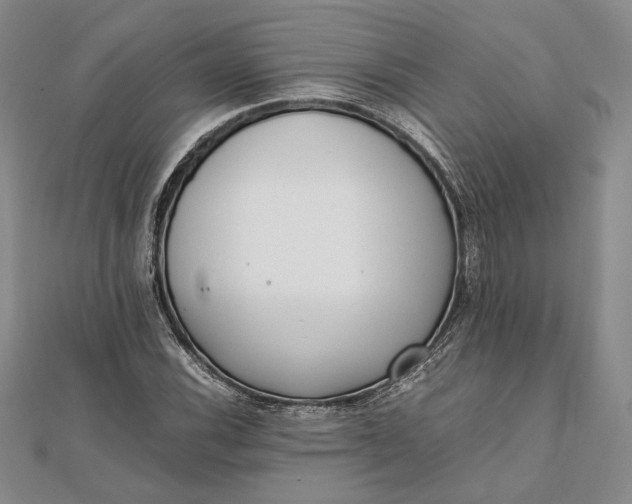 X0000111781116200908061109