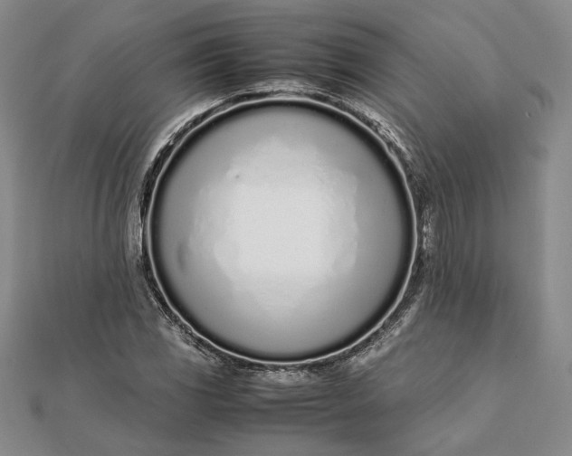 X0000111781117200908061109