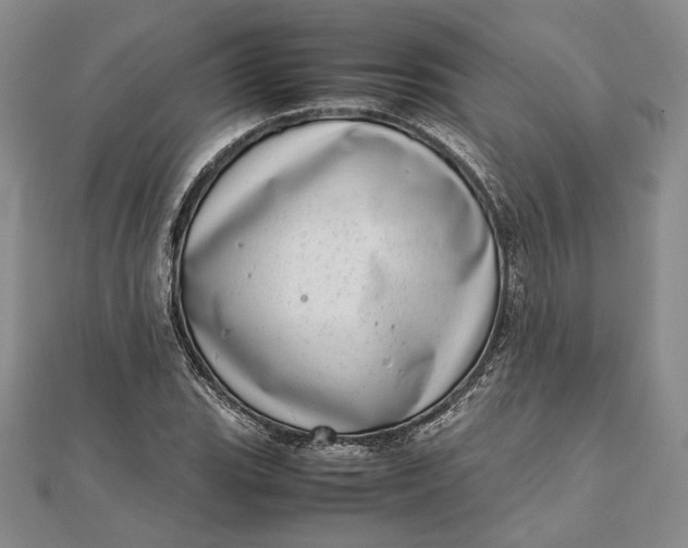 X0000111781119200908061109