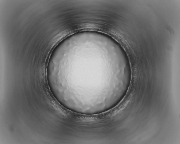 X0000111781121200908061109
