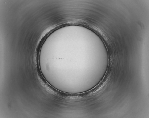 X0000111781122200908061109