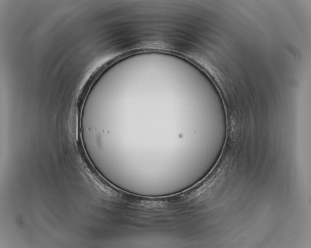 X0000111781123200908061109