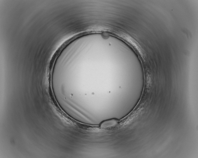 X0000111781124200908061109