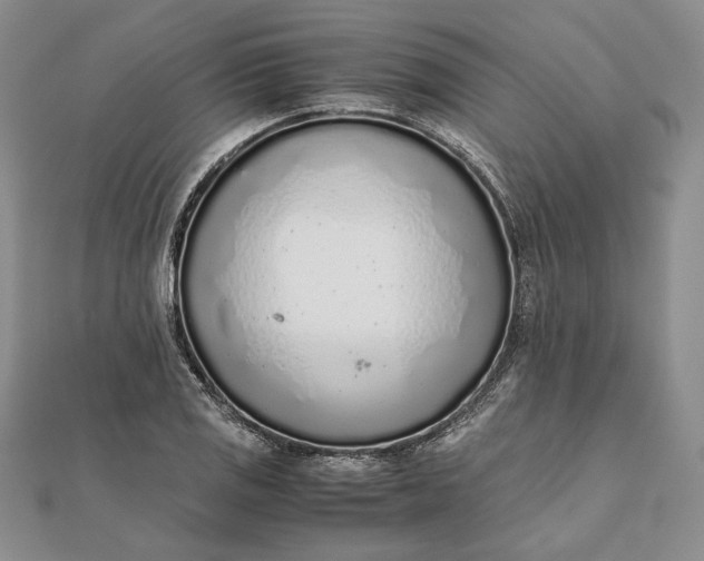X0000111781125200908061109