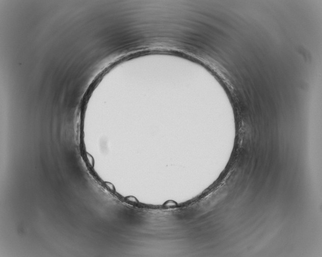 X0000111781126200908061109
