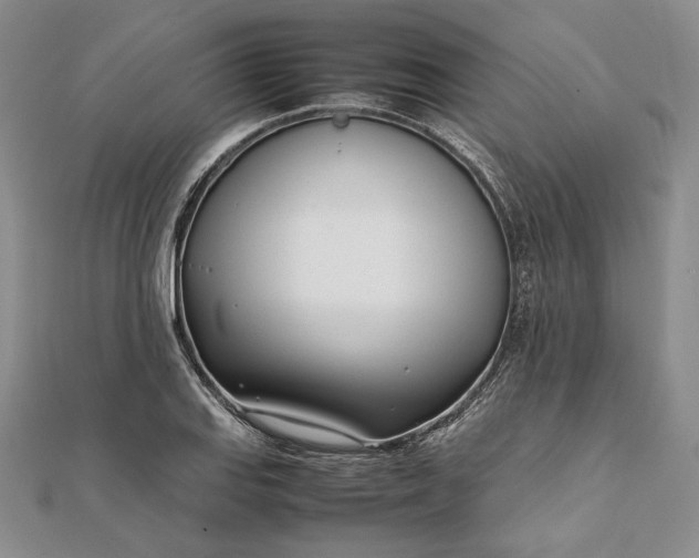 X0000111781127200908061109