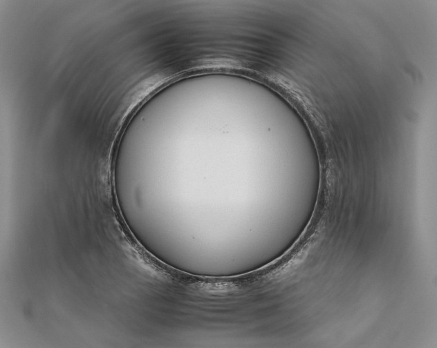 X0000111781129200908061109