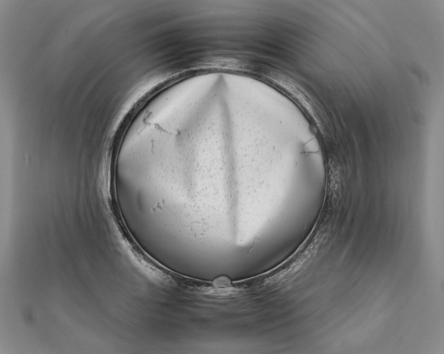 X0000111781131200908061109