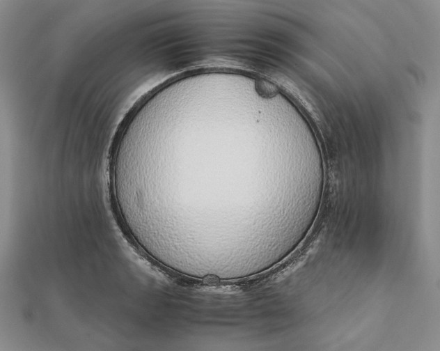 X0000111781133200908061109