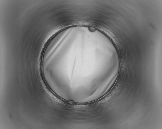 X0000111781135200908061109