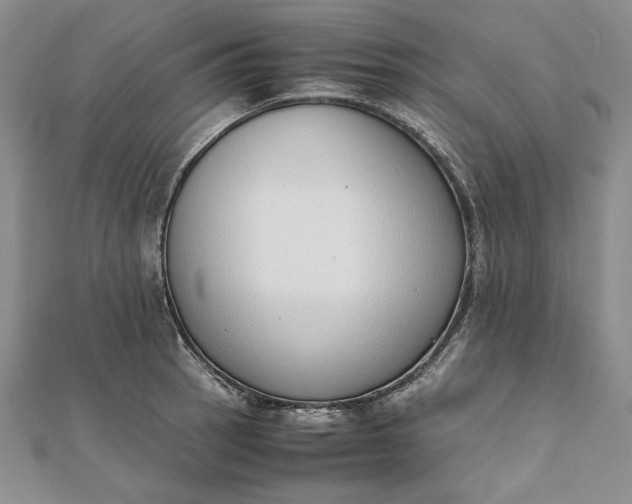 X0000111781137200908061109