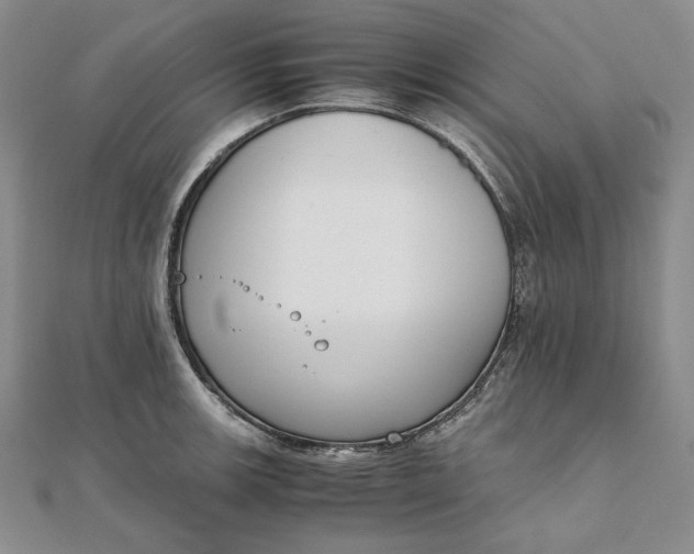 X0000111781139200908061109
