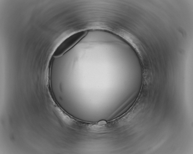 X0000111781140200908061109